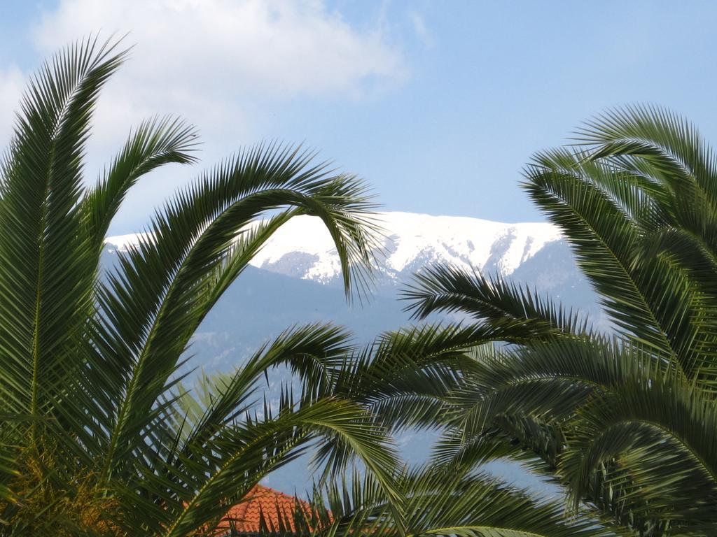 Ξενοδοχείο Λείβηθρα Aparthotel Paralía Skotínis Εξωτερικό φωτογραφία