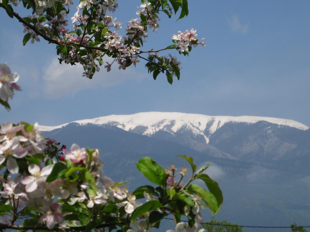 Ξενοδοχείο Λείβηθρα Aparthotel Paralía Skotínis Εξωτερικό φωτογραφία